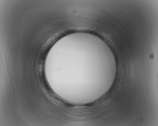 X0000115660495200911120946