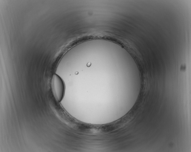 X0000115660496200911120946