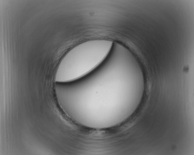 X0000115660497200911120946