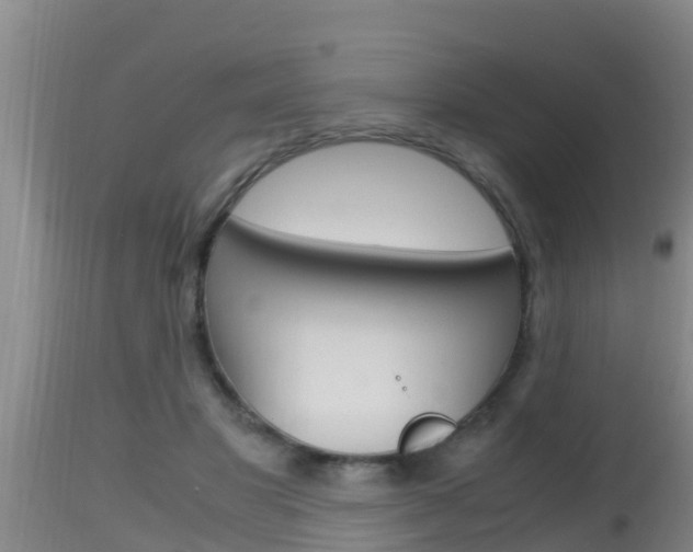 X0000115660501200911120946