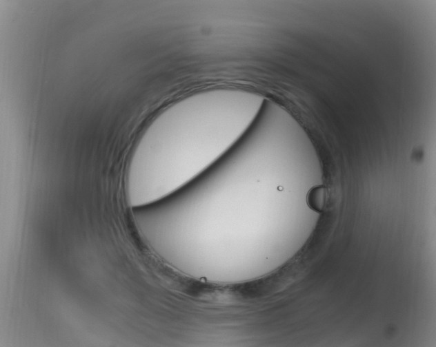 X0000115660503200911120946