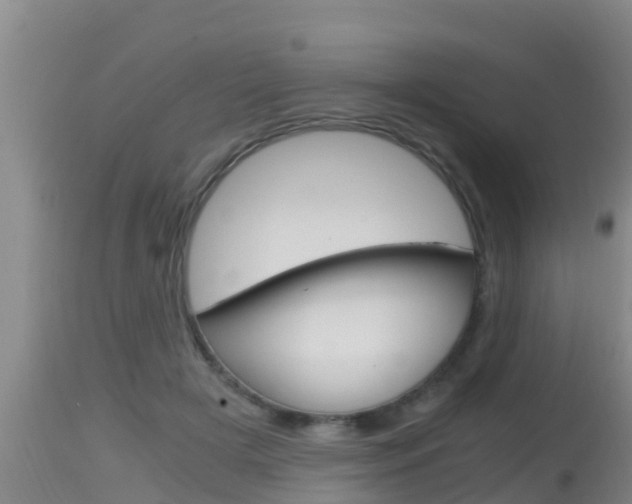 X0000115660505200911120946