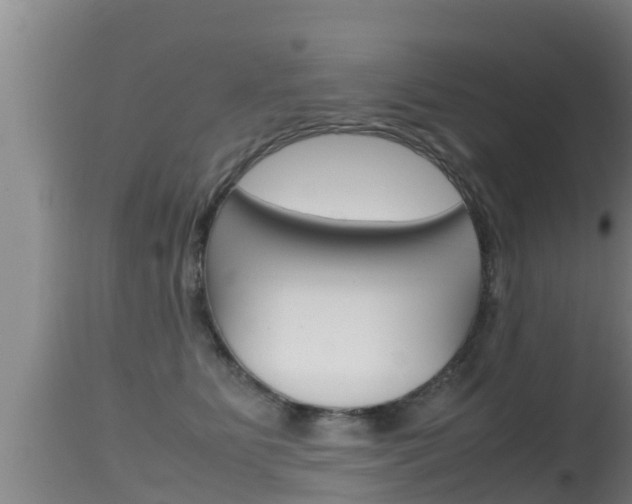 X0000115660515200911120946