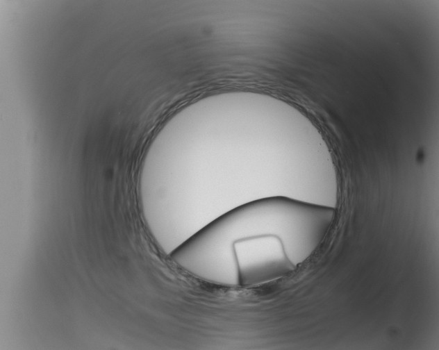 X0000115660517200911120946