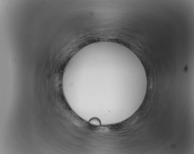 X0000115660519200911120946