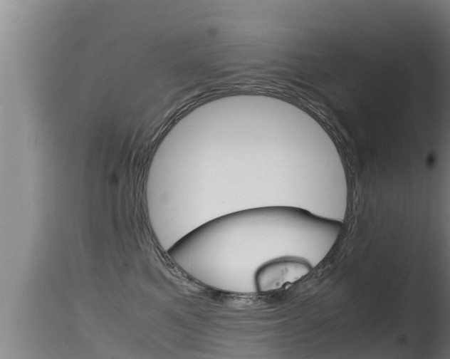 X0000115660521200911120946