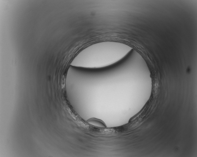 X0000115660525200911120946