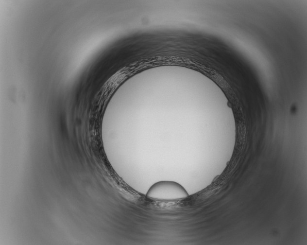 X0000115660526200911120946