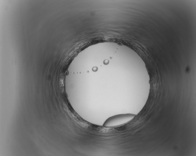 X0000115660527200911120946