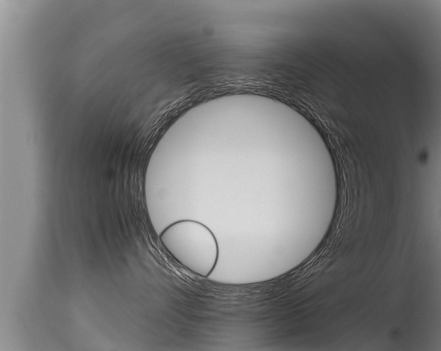 X0000115660528200911120945