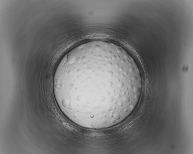 X0000115660529200911120945