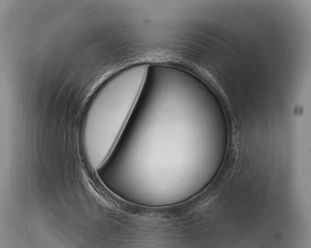 X0000115660530200911120945