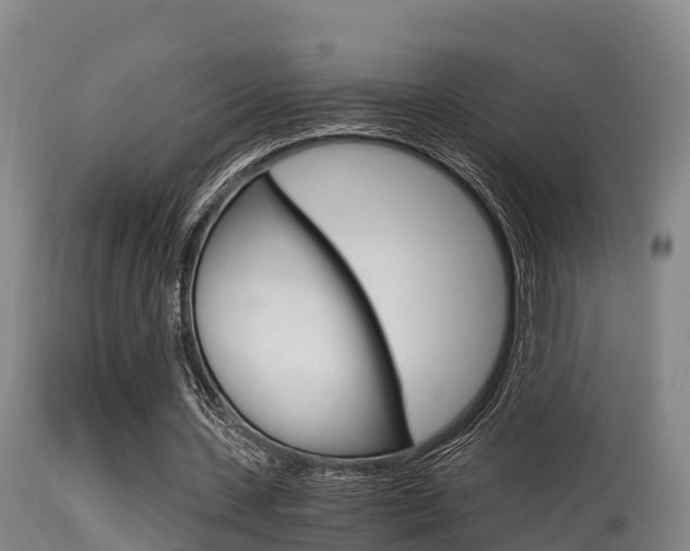 X0000115660531200911120945