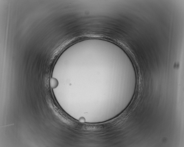 X0000115660533200911120945