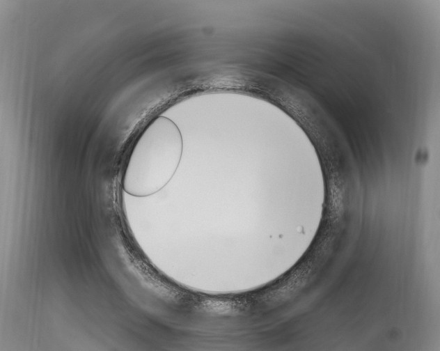 X0000115660534200911120945