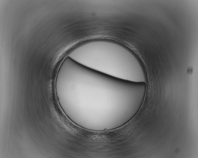 X0000115660535200911120945