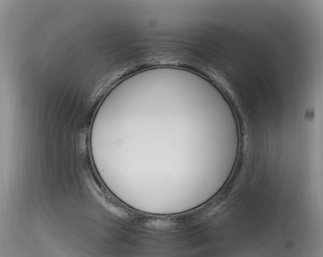 X0000115660537200911120945