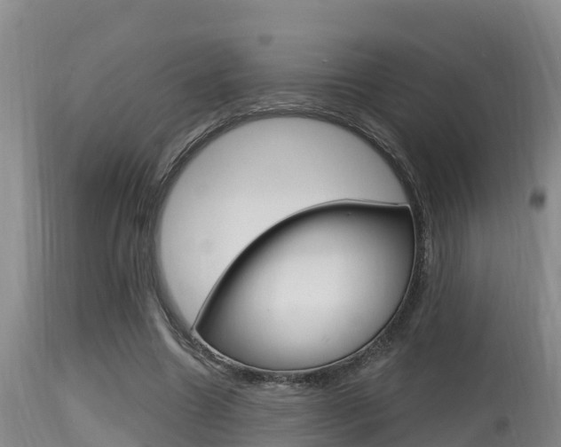 X0000115660538200911120945
