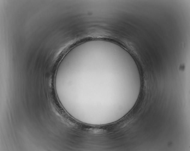 X0000115660539200911120945