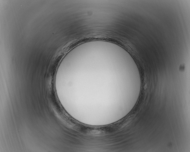 X0000115660542200911120945