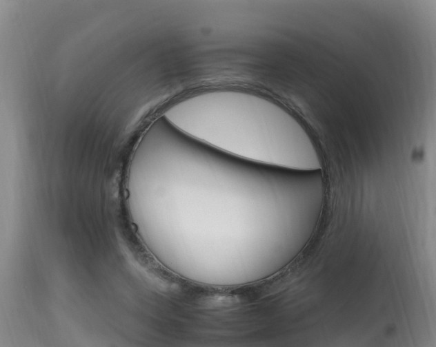 X0000115660543200911120945