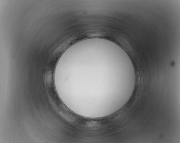 X0000115660549200911120945