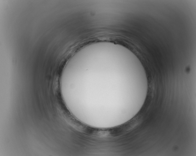 X0000115660554200911120945