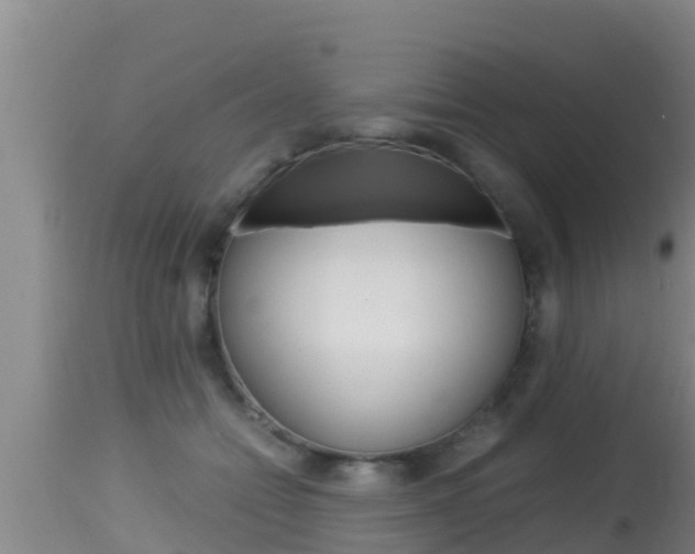 X0000115660558200911120945