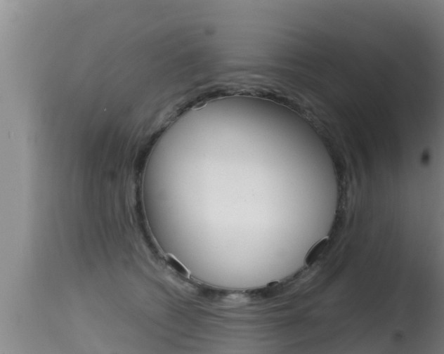 X0000115660562200911120945