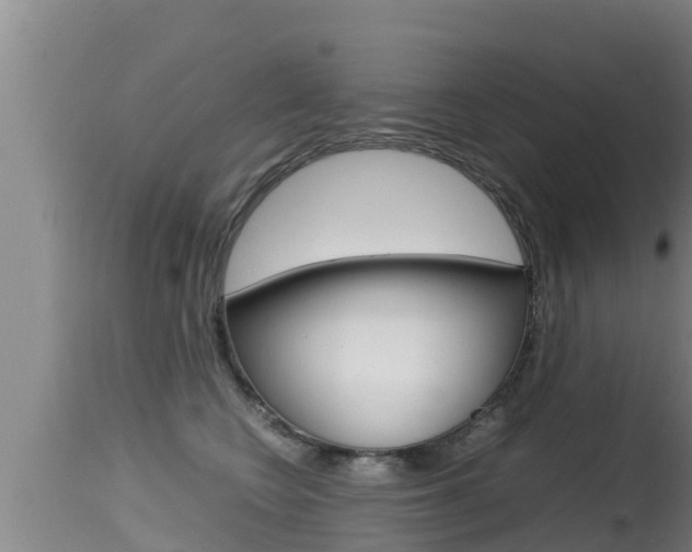 X0000115660566200911120945