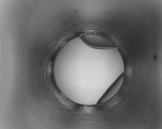 X0000115660570200911120945