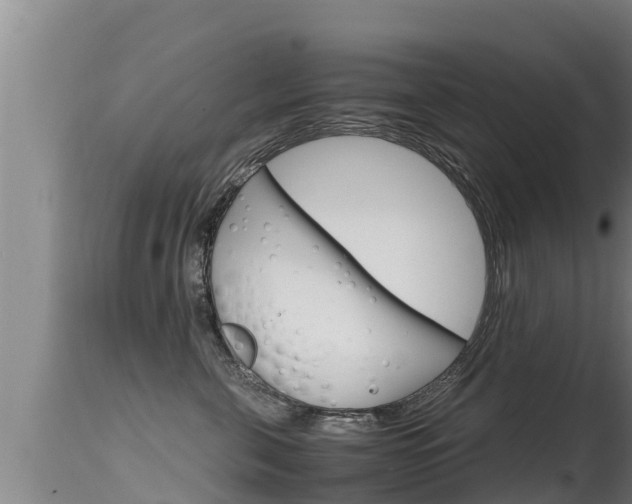 X0000115660571200911120945
