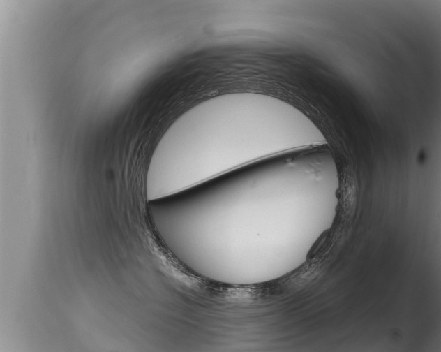 X0000115660574200911120945