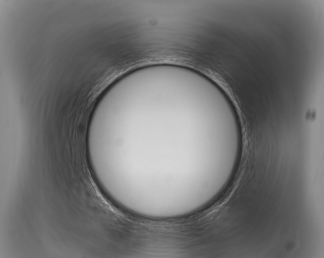 X0000115660577200911120945