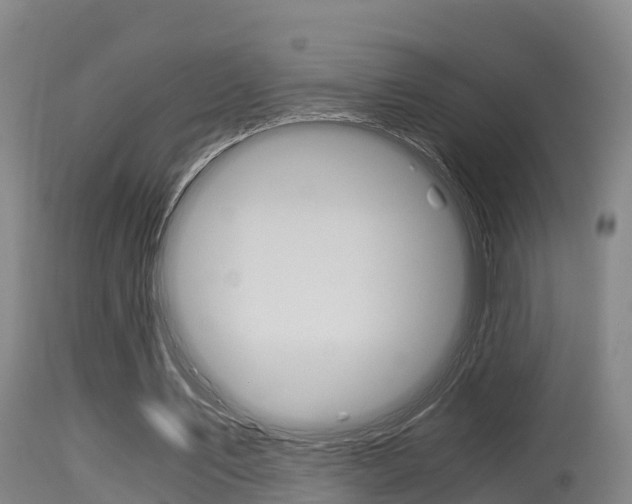 X0000115660579200911120945