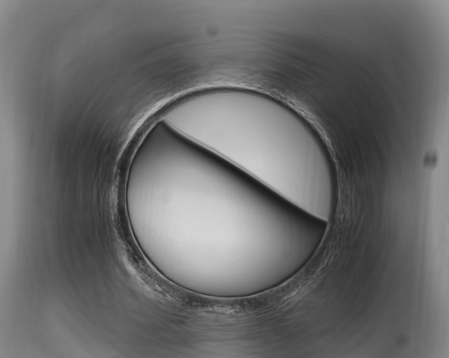 X0000115660580200911120945