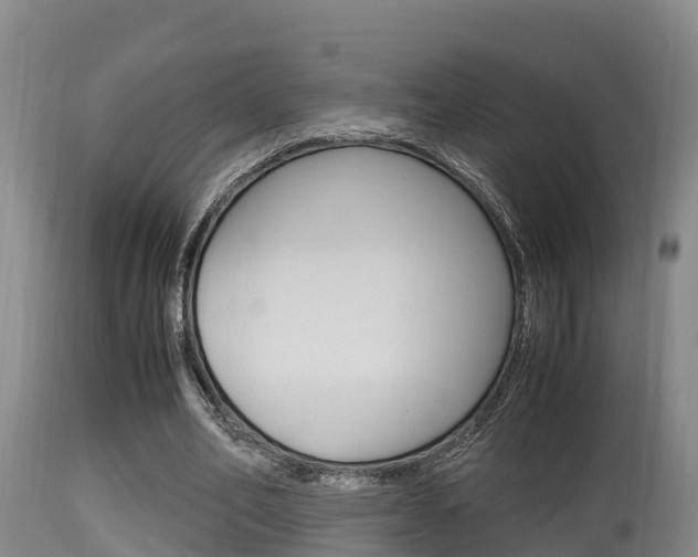 X0000115660582200911120945