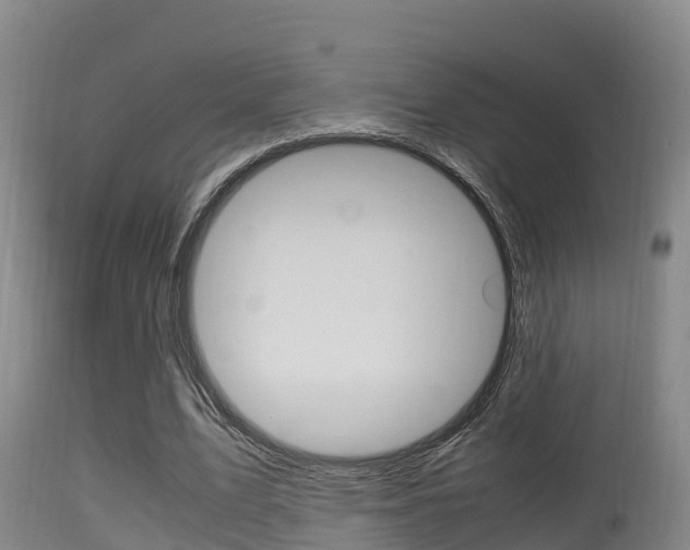 X0000115660583200911120945