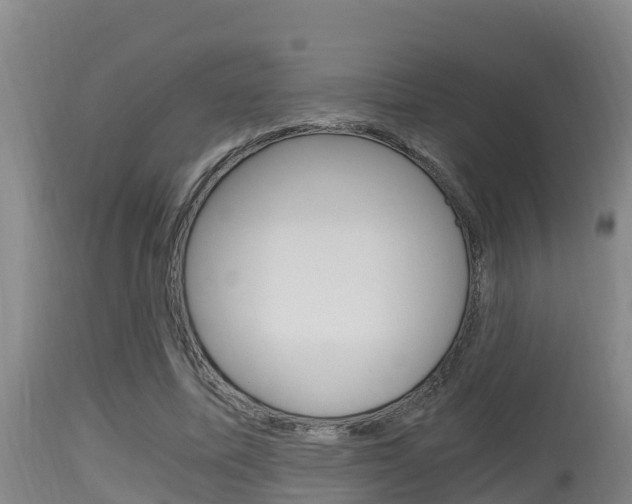 X0000115660587200911120945