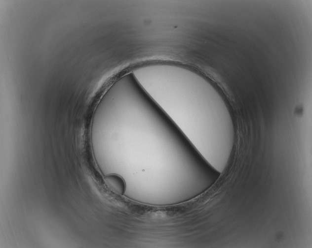 X0000115660588200911120945