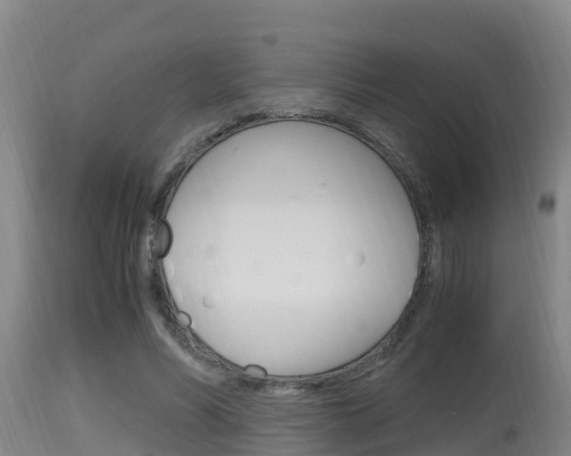 X0000115660590200911120945