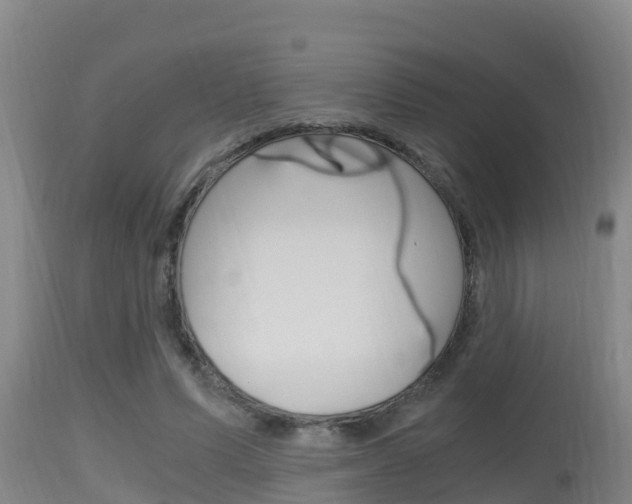 X0000115660591200911120945