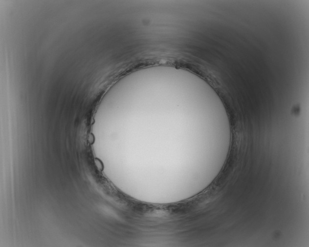 X0000115660594200911120945