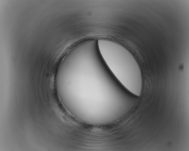 X0000115660596200911120945
