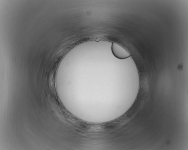 X0000115660599200911120945