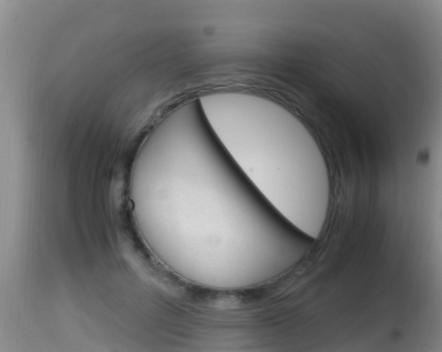 X0000115660600200911120945