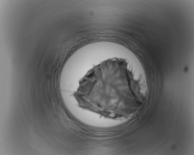 X0000115660605200911120944