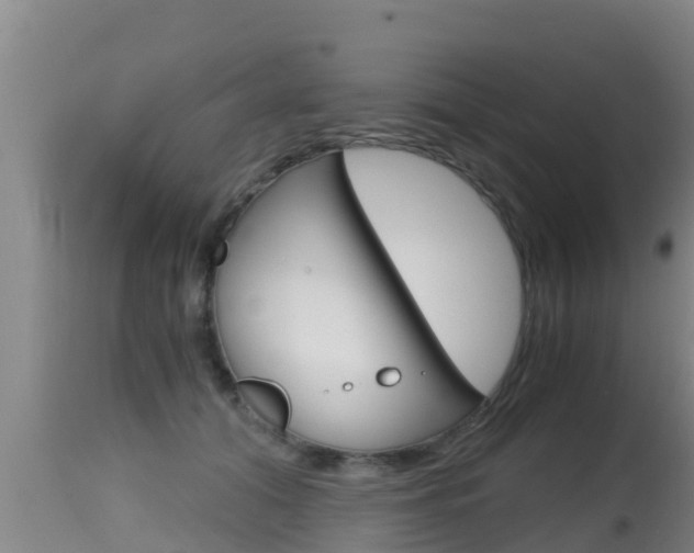 X0000115660608200911120944