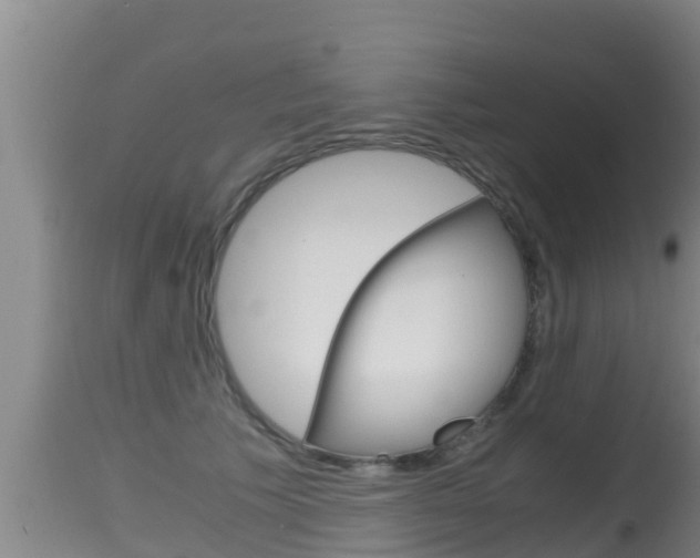 X0000115660609200911120944