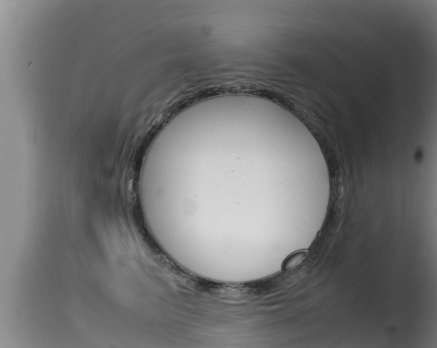 X0000115660615200911120944